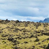 Volcanic mountain with lava fields of moss