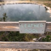 Leather Pool