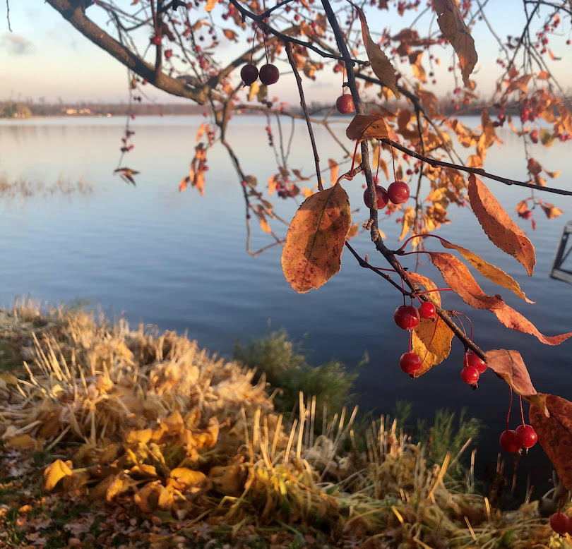Autumn on White Ash Lake